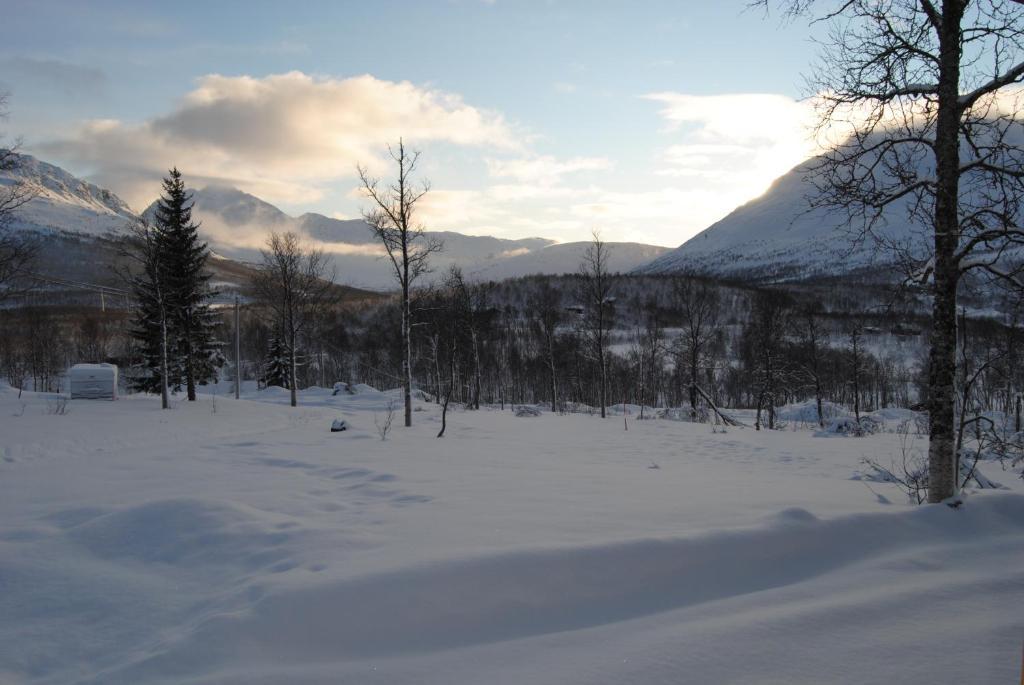 Villa Lapphaugen Turiststasjon à Tennevoll Chambre photo